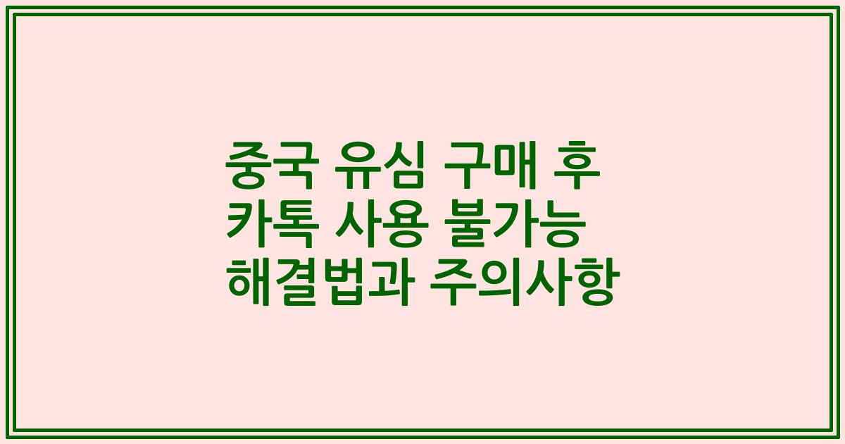 중국 유심 구매 후 카톡 사용 불가능 해결법과 주의사항