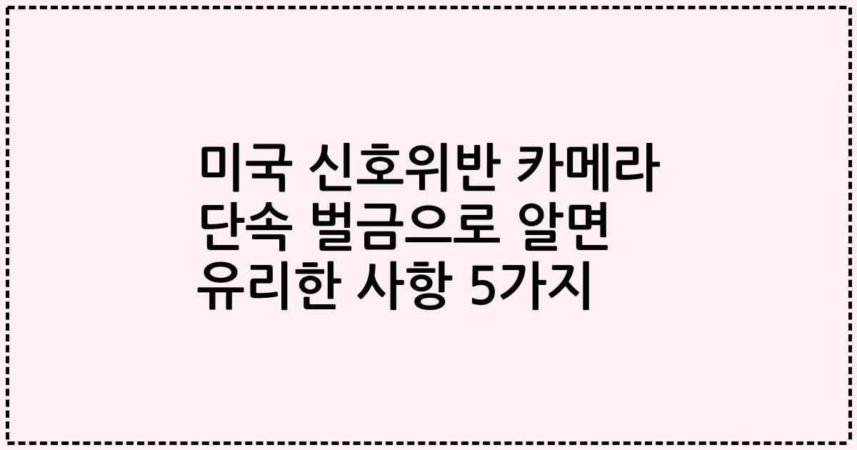 미국 신호위반 카메라 단속 벌금으로 알면 유리한 사항 5가지