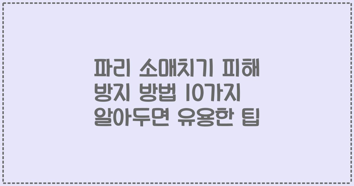 파리 소매치기 피해 방지 방법 10가지 알아두면 유용한 팁