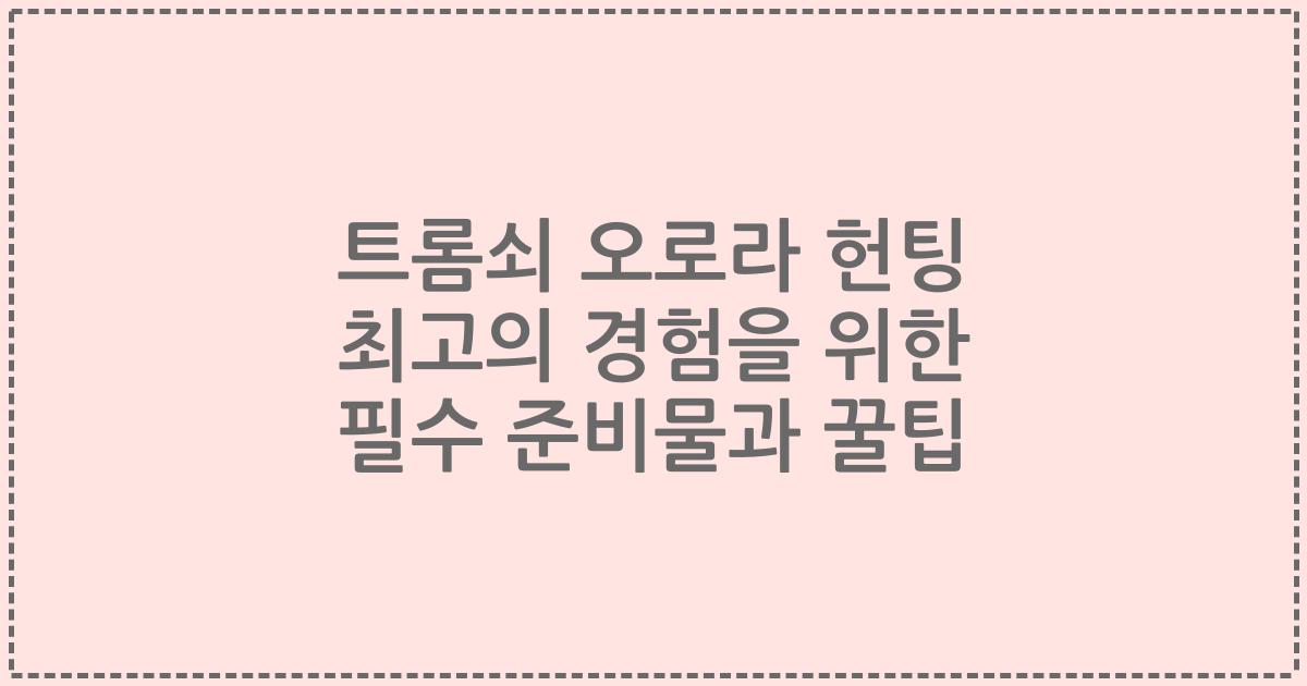 트롬쇠 오로라 헌팅 최고의 경험을 위한 필수 준비물과 꿀팁